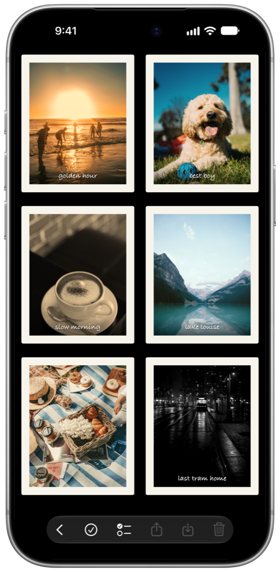 The Snapshots gallery: a grid of kept prints.